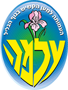 ביילין יבגני, מנהל אחזקה